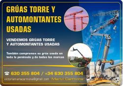 GRUAS TORRE Y AUTOMONTANTES USADAS