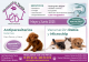 LAS MASCOTAS DE TANIA CLINICA VETERINARIA NUEVO BAZTAN