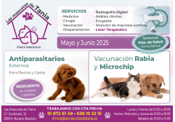 LAS MASCOTAS DE TANIA