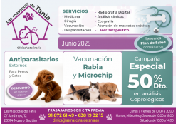 LAS MASCOTAS DE TANIA CLINICA VETERINARIA NUEVO BAZTAN