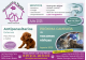 LAS MASCOTAS DE TANIA CLINICA VETERINARIA NUEVO BAZTAN