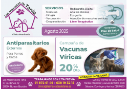 LAS MASCOTAS DE TANIA CLINICA VETERINARIA NUEVO BAZTAN