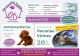 LAS MASCOTAS DE TANIA CLINICA VETERINARIA NUEVO BAZTAN
