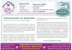 LAS MASCOTAS DE TANIA CLINICA VETERINARIA NUEVO BAZTAN