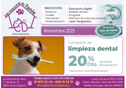 LAS MASCOTAS DE TANIA CLINICA VETERINARIA NUEVO BAZTAN