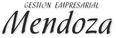 Mendoza Gestion Empresarial