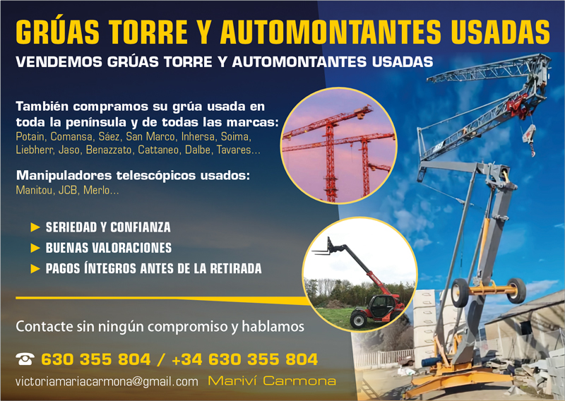 GRUAS Torre y Automontantes usadas