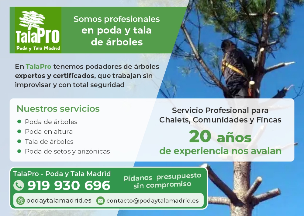 TALAPRO Poda y tala Madrid - Nuevo Baztán