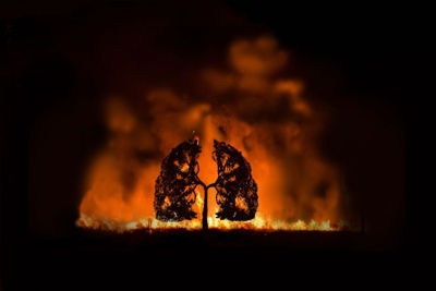 La sequía y los incendios están acabando con la selva amazónica